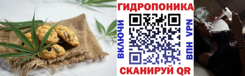 что такое наркотик  MEGA tor  Canna-Cookies конопля  Лодейное Поле 