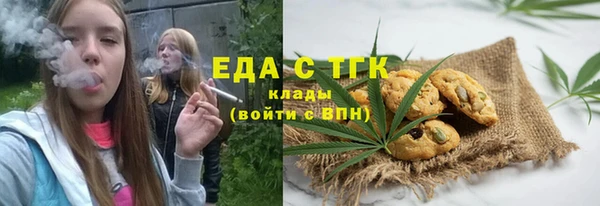 хмурый Алексин