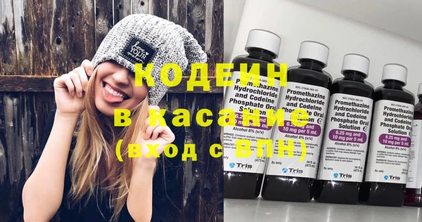 хмурый Алексин