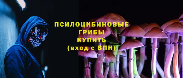 хмурый Алексин