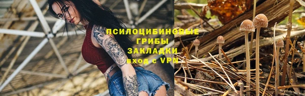 хмурый Алексин