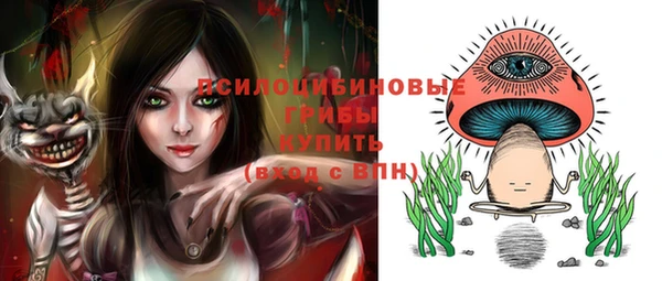 хмурый Алексин
