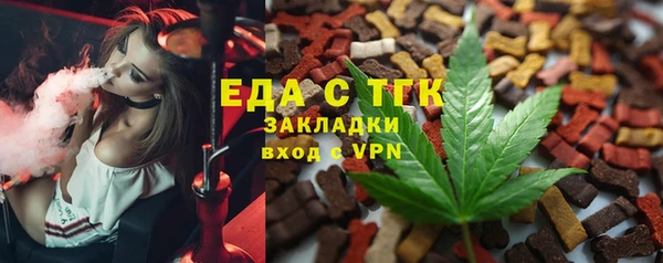 хмурый Алексин