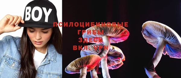 герыч Абаза