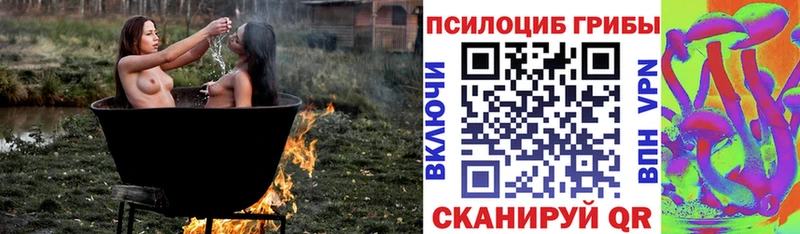 мориарти телеграм  Лодейное Поле  Псилоцибиновые грибы MAGIC MUSHROOMS 