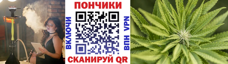 Каннабис VHQ Лодейное Поле