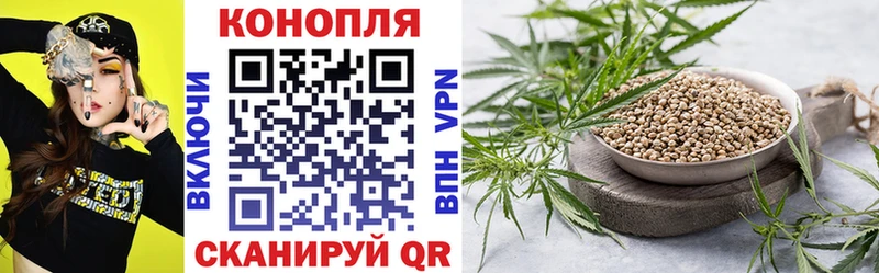 купить наркотик  Лодейное Поле  Канабис тримм 
